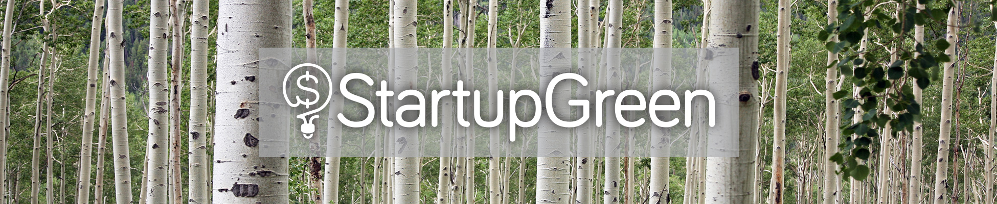 Startup Green