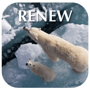 RENEW