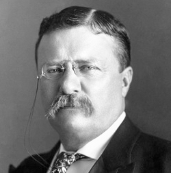 Theodore Roosevelt Jr., 26th President of the United States