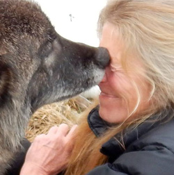 Delia G. Malone, Rocky Mountain Wolf Project